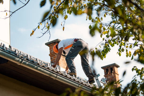 Best Best Roofing Contractors  in Hallsville, MO