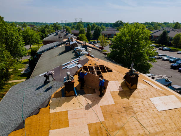 Best Best Roofing Contractors  in Hallsville, MO