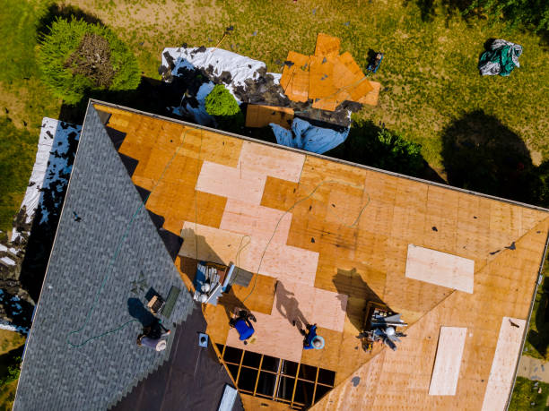 Best Local Roofing Companies  in Hallsville, MO