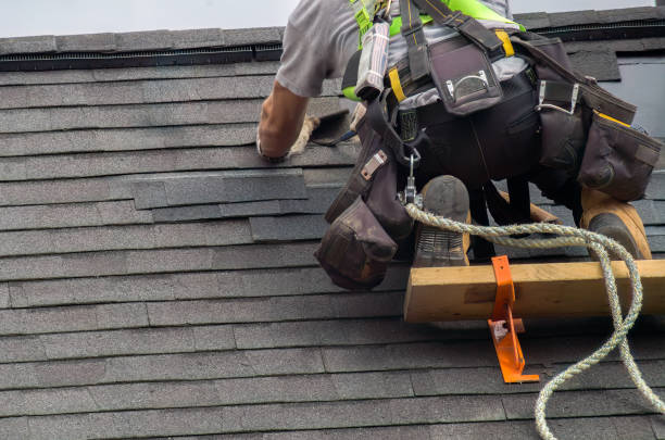 Best Gutter Installation and Roofing  in Hallsville, MO