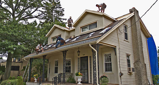 Best Local Roofing Companies  in Hallsville, MO